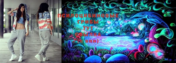 шишки Волоколамск