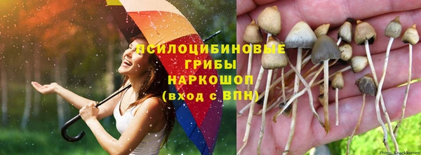 амф Волосово