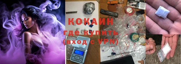 шишки Волоколамск