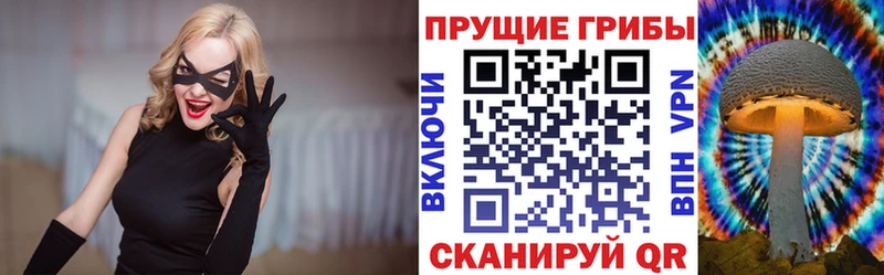 Купить где  Кудрово  Галлюциногенные грибы мухоморы 