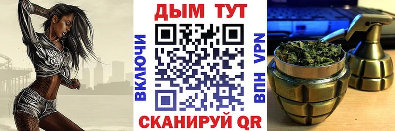 Бошки марихуана ГИДРОПОН  Купить закладки  Кудрово 
